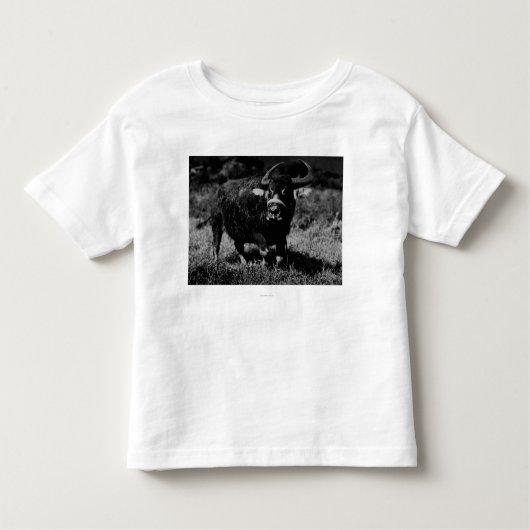 HawaiiAの水牛PhotographHawaii トドラーTシャツ (正面)