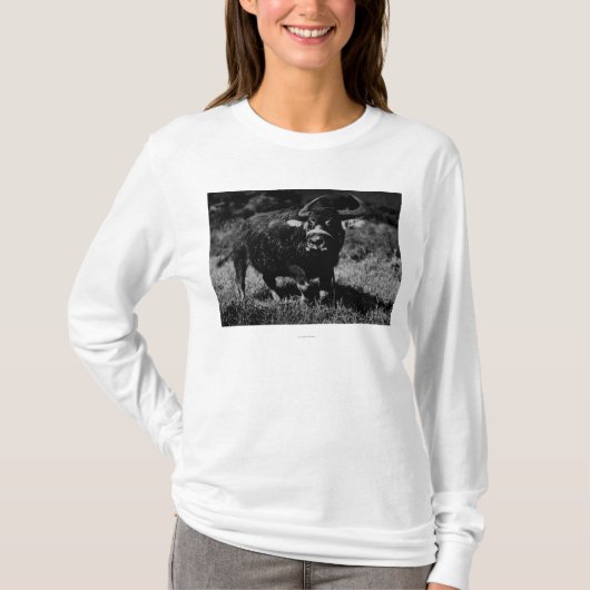 HawaiiAの水牛PhotographHawaii Tシャツ (正面)