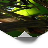 Hawaiian Banana and Coconut Trees ポスター (角)
