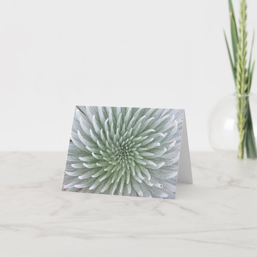 Hawaiian Cactus Succulent Note Card カード (正面)