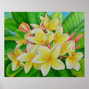 Hawaiian Frangipani ポスター