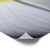 Hawaiian Frangipani ポスター (角)