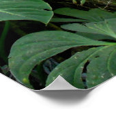 Hawaiian Hiking Trail ポスター (角)