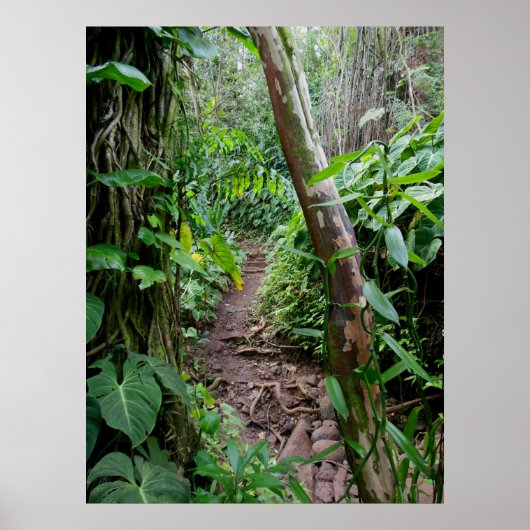 Hawaiian Hiking Trail ポスター (正面)
