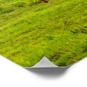 Hawaiian Horses, Hokulei Peak, Kauai, Hawaii ポスター (角)