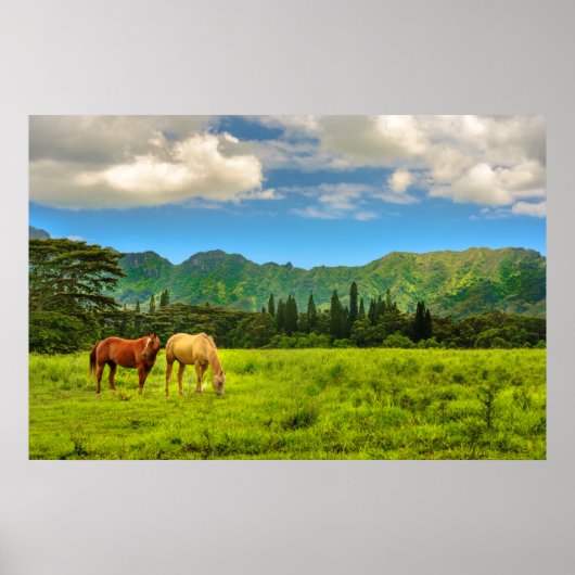 Hawaiian Horses, Hokulei Peak, Kauai, Hawaii ポスター (正面)