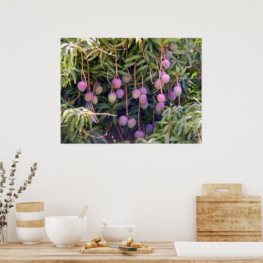 Hawaiian Mangoes ポスター (キッチン)