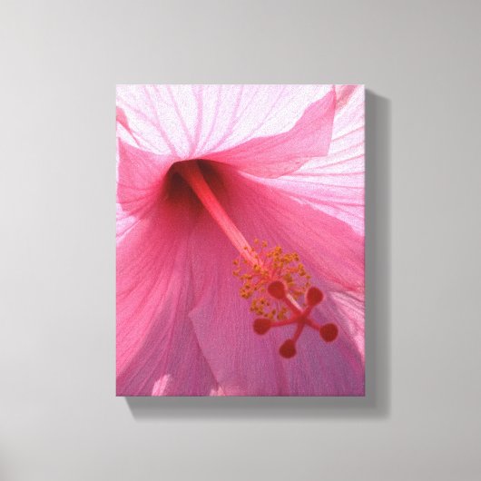 Hawaiian Pink Hibiscus Fine Art Photo キャンバスプリント (正面)