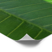 Hawaiian Plumeria ポスター (角)