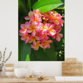 Hawaiian Plumeria ポスター (キッチン)