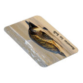 Hawaiian Sea Turtle on the Sand マグネット (右側)