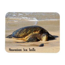 Hawaiian Sea Turtle on the Sand マグネット
