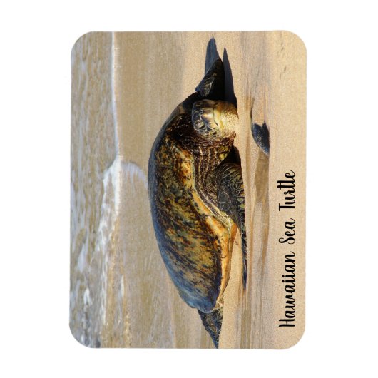 Hawaiian Sea Turtle on the Sand マグネット (縦)