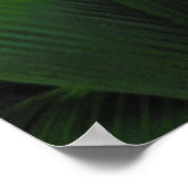 Hawaiian Tropical Rain Forest ポスター (角)