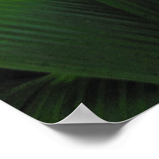 Hawaiian Tropical Rain Forest ポスター (角)