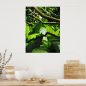 Hawaiian Tropical Rain Forest ポスター (キッチン)