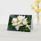 Hawaiian Tuberose Cluster カード (黄色い花)