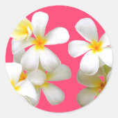 Hawaiian white plumeria flower pink ラウンドシール (正面)
