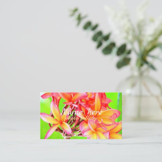 Hawaiian white plumeria flower pink 名刺 (スタンド正面)