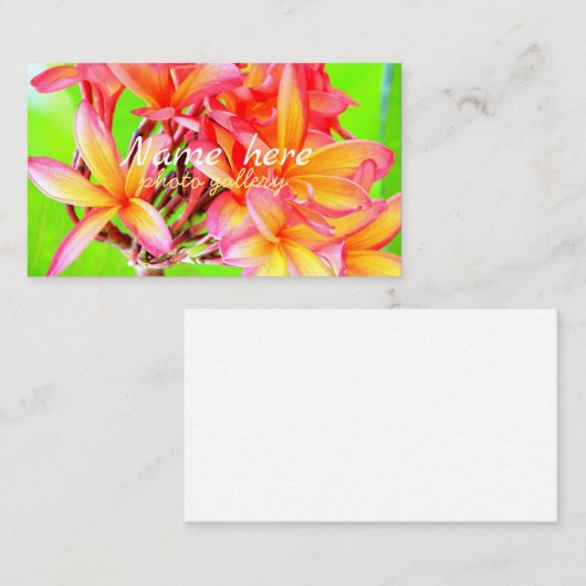Hawaiian white plumeria flower pink 名刺 (正面/裏面)