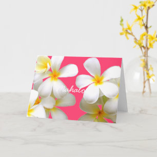 Hawaiian white plumeria greeting card pink カード