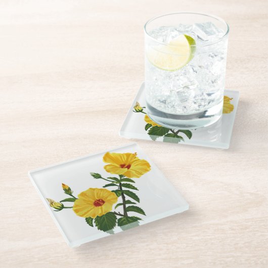 Hawaiian yellow hibiscus Botanical illustration ガラスコースター (アングル)