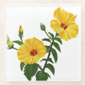 Hawaiian yellow hibiscus Botanical illustration ガラスコースター (正面)