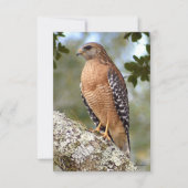 Hawkカード自然ノートカード サンキューカード (正面)