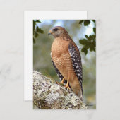 Hawkカード自然ノートカード サンキューカード (正面/裏面)