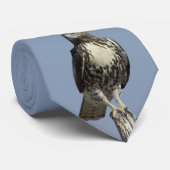 Hawk ネクタイ (ロール)