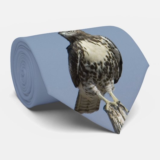 Hawk ネクタイ (ロール)