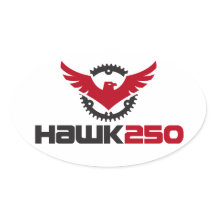 Hawk 250ロゴ楕円ステッカー