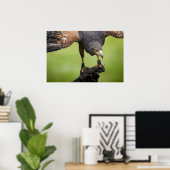 hawk bird ポスター (ホームオフィス)