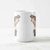 Hawk Mug コーヒーマグカップ (中央)