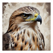 Hawk no 2光沢ポスター ポスター (正面)