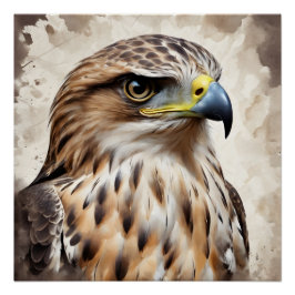 Hawk no 2光沢ポスター ポスター