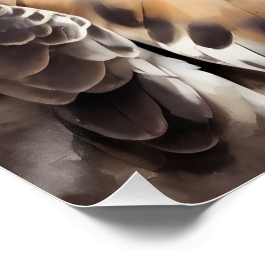 Hawk no 2光沢ポスター ポスター (コーナー)