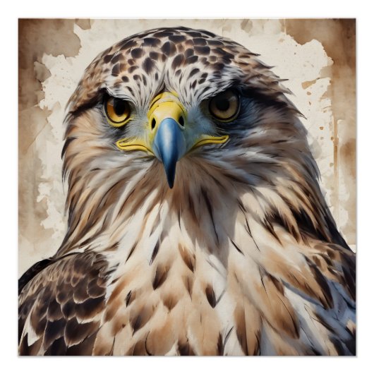 Hawk no 3光沢ポスター ポスター (正面)