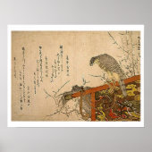 Hawk on Screen Perch ポスター (正面)