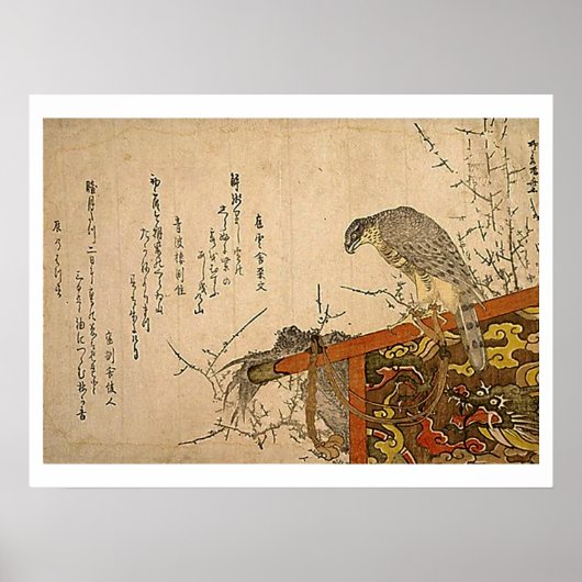 Hawk on Screen Perch ポスター (正面)