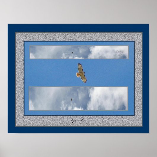 Hawk Soaring Collage 2 Photo Poster by gretchen ポスター (正面)