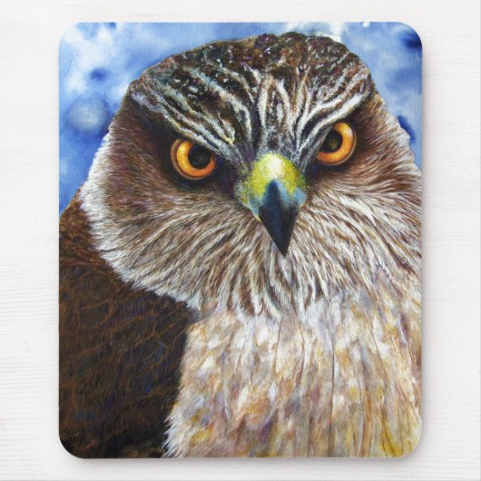 Hawkeyes マウスパッド (正面)