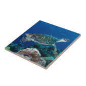 Hawksbillのウミガメのグレート・バリア・リーフの珊瑚海 タイル (側面)