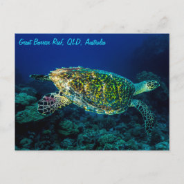 Hawksbillのウミガメのグレート・バリア・リーフの珊瑚海 ポストカード