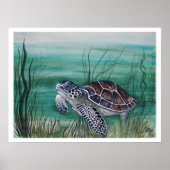 Hawksbill Sea Turtle ポスター (正面)