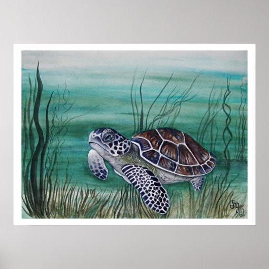 Hawksbill Sea Turtle ポスター (正面)