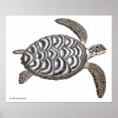 Hawksbill Sea Turtle Print ポスター (正面)