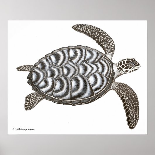 Hawksbill Sea Turtle Print ポスター (正面)