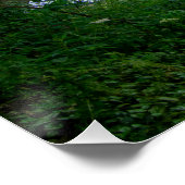 Hawksclough Bridge, Mytholmroyd ポスター (コーナー)