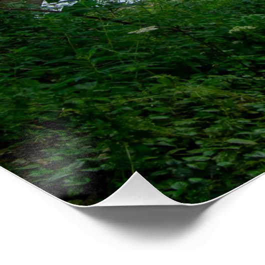 Hawksclough Bridge, Mytholmroyd ポスター (コーナー)